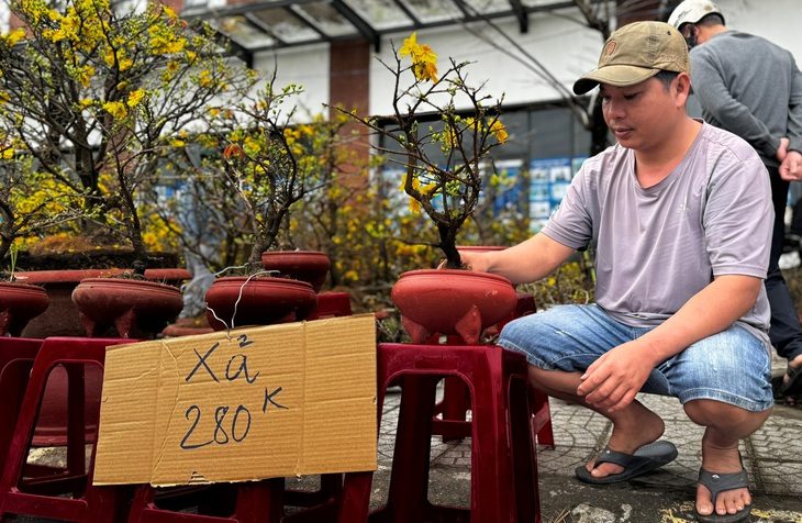 hoa-tet-quang-ngai-xa-hang-dong-gia-vang-nguoi-mua-6-1737877404365528284468 27 tháng Chạp đã 'xả hàng', chợ hoa Tết Quảng Ngãi vẫn vắng người mua - Ảnh 1.